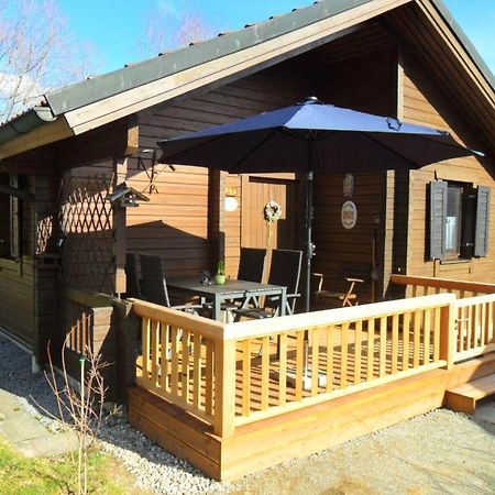 Komfortables-Ferienblockhaus-Nr-27-56-Qm-Bis-4-Personen-Viechtach-Jaegerpark Zewnętrze zdjęcie