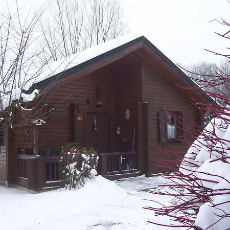 Komfortables-Ferienblockhaus-Nr-27-56-Qm-Bis-4-Personen-Viechtach-Jaegerpark Zewnętrze zdjęcie